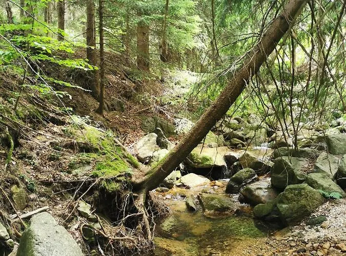 Daire Gorski Potok