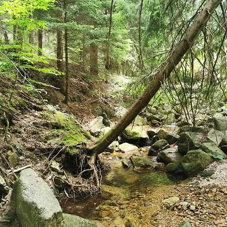 Apartament Gorski Potok